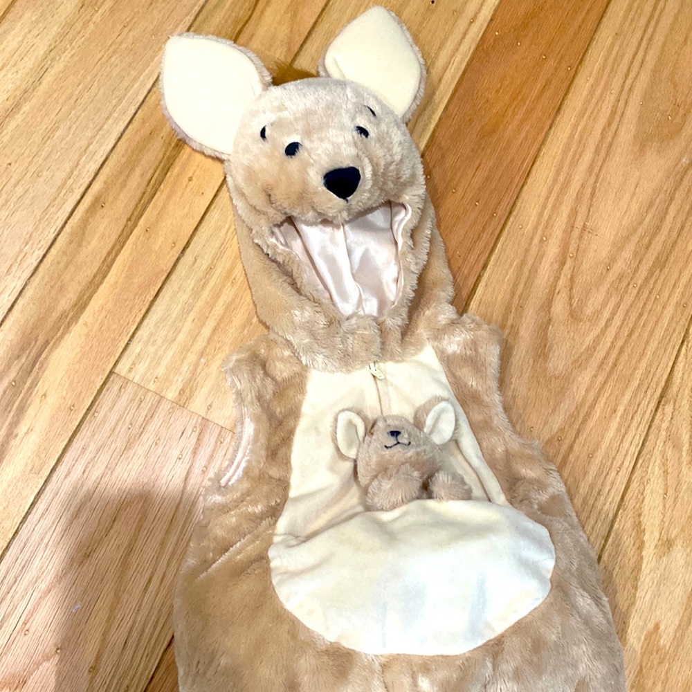 Cute kangaroo costume 18 Mo